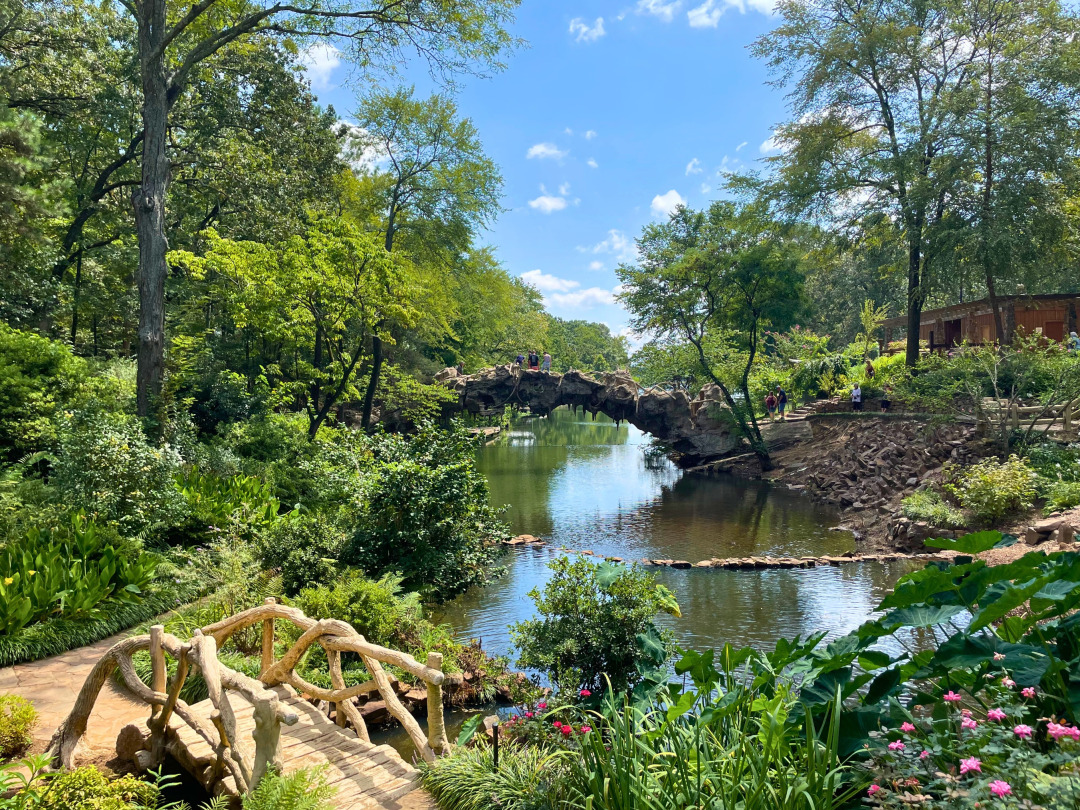 organized administrative services documents on desk